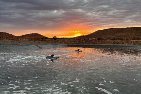 image_1