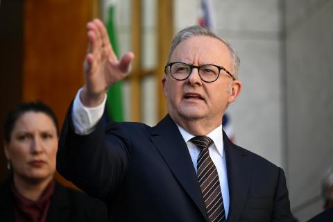 Albo