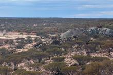 NEOMETALS NMT BARRAMBIE RA BULLSNBEARSWA