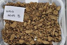 RED METAL_TESTS_BNBWA