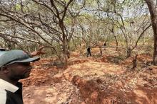 DALAROO DAL BNDKOU Au BNBWA