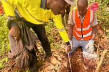 DALAROO DAL SAMPLING BNBWA