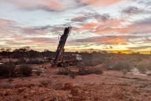 MARITANA MRT RIG NR BLACK SWAN BNBWA