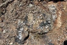 DATELINE_PINTO GNEISS 7.1%TREO MUSIC VALLEY_BNBWA