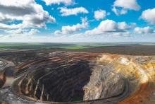 FORRESTANIA_EDNA MAY GOLD MINE_BNBWA