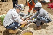 DALAROO_DRILL CHIP INSP_BNBWA