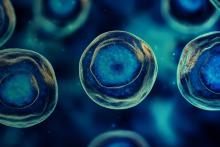 NeuroScientific Biopharmaceuticals StemSmart mesenchymal stem cells Crohns disease BNBWA